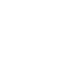 100-badge