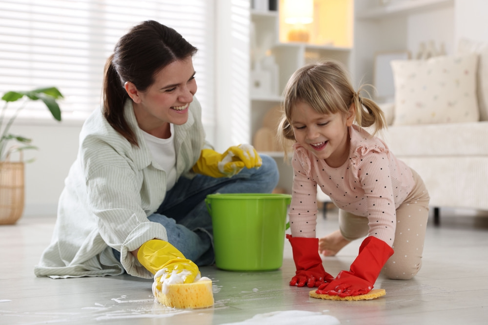 professional maid services in Chesterfield, MO