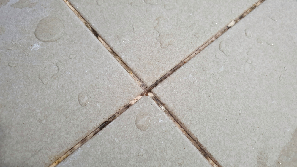 How do you remove mildew from tiles