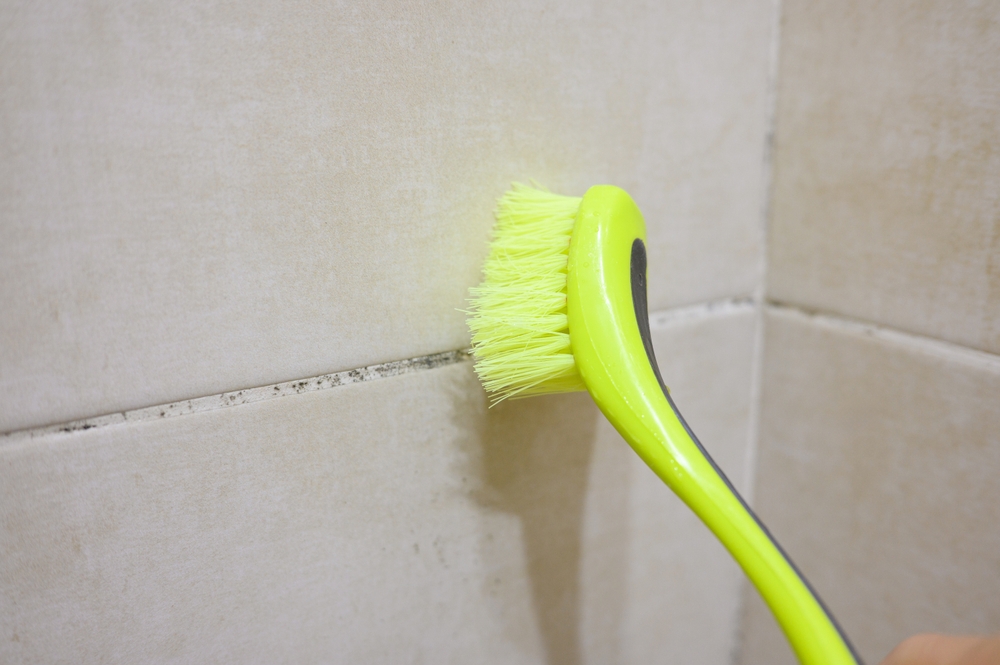 meticulous apartment cleaning in Ladue, MO