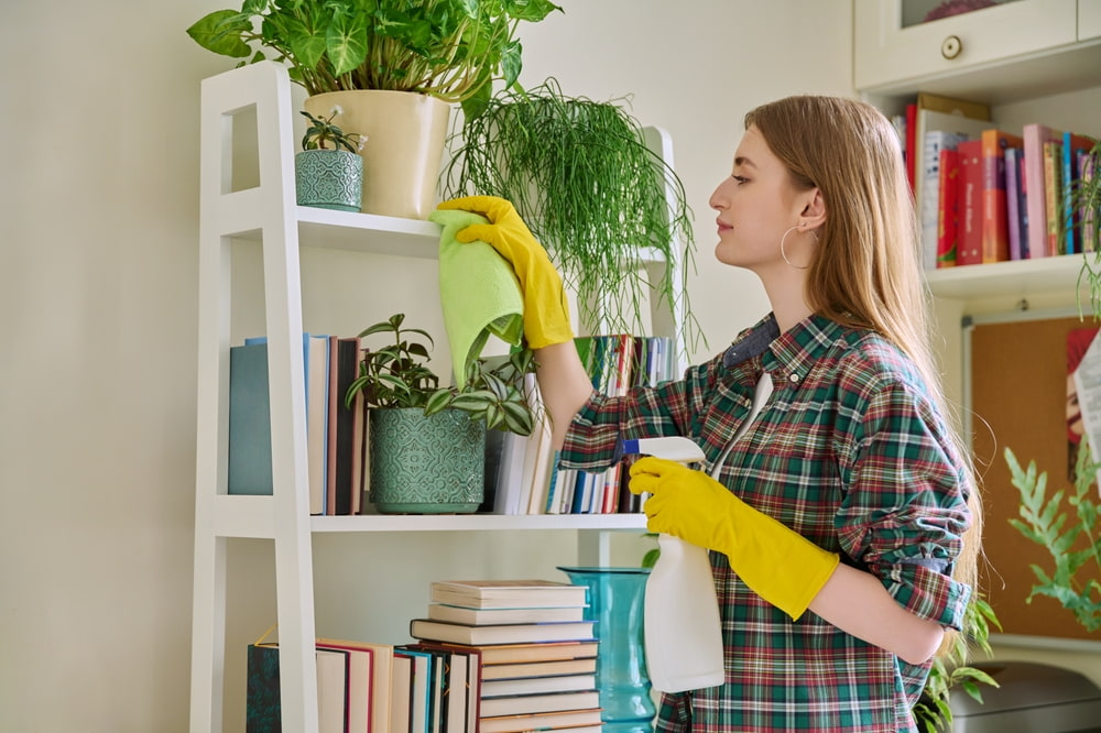 detailed residential cleaning in Ladue, MO