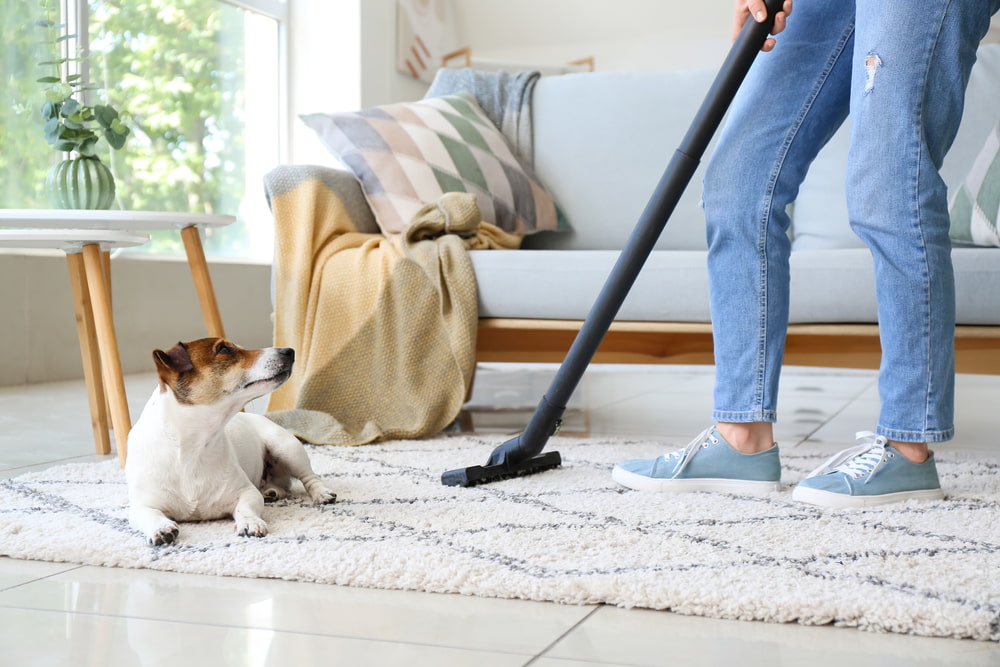 What should you do before the house cleaner comes