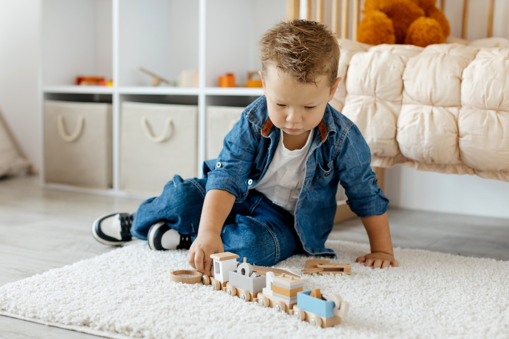 best cleaning services in Central West End, MO