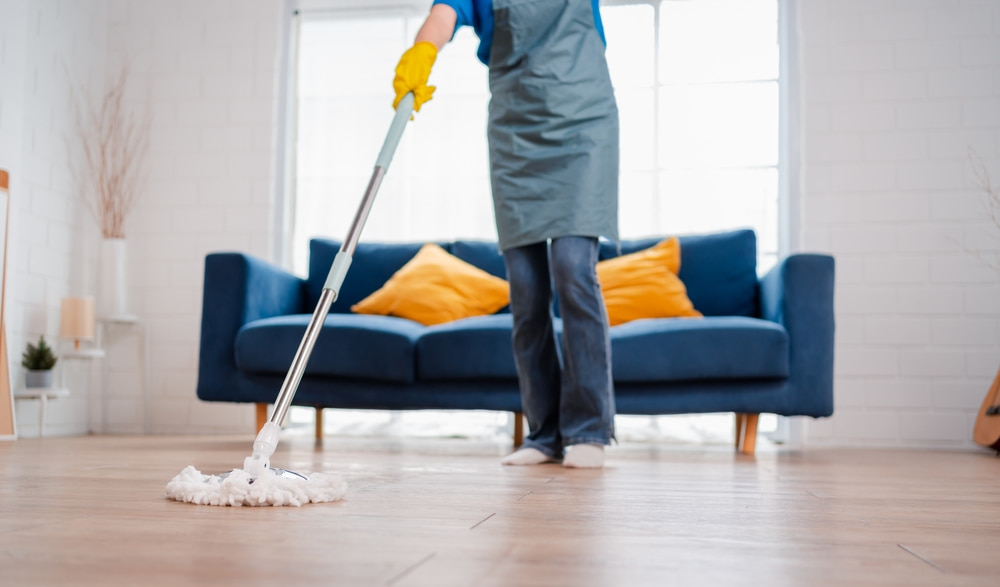 Where can I find meticulous house cleaning in Creve Coeur, MO & the surrounding areas