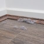 Why does my apartment get dusty so easily