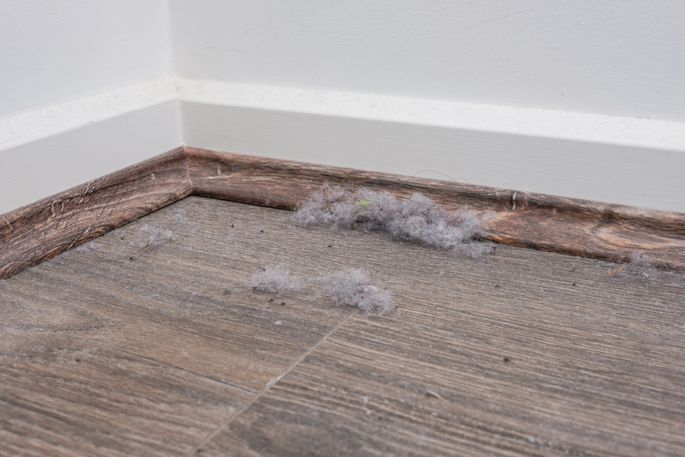 Why does my apartment get dusty so easily